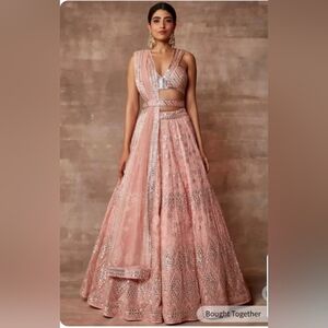 Embroidered Organza Lehenga
